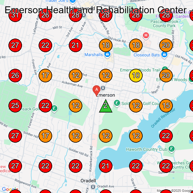 Emerson Health and Rehabilitation Center GeoGrid visibility map for Nursing Home in Allendale